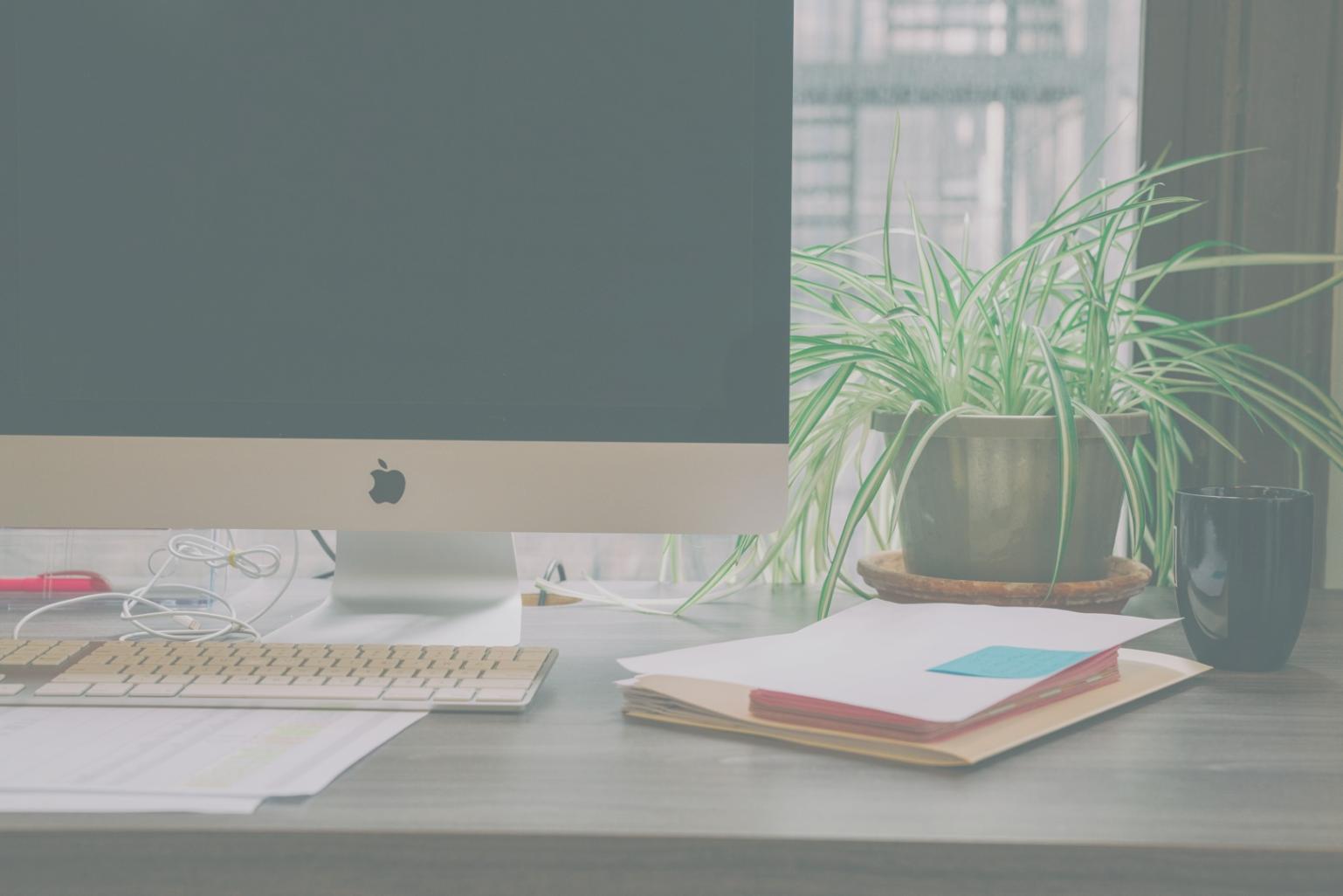 Trading-Plattform Dashboard mit Echtzeit-Marktdaten